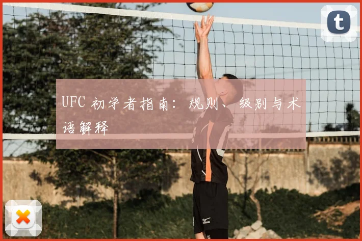 UFC 初学者指南:规则、级别与术语解释