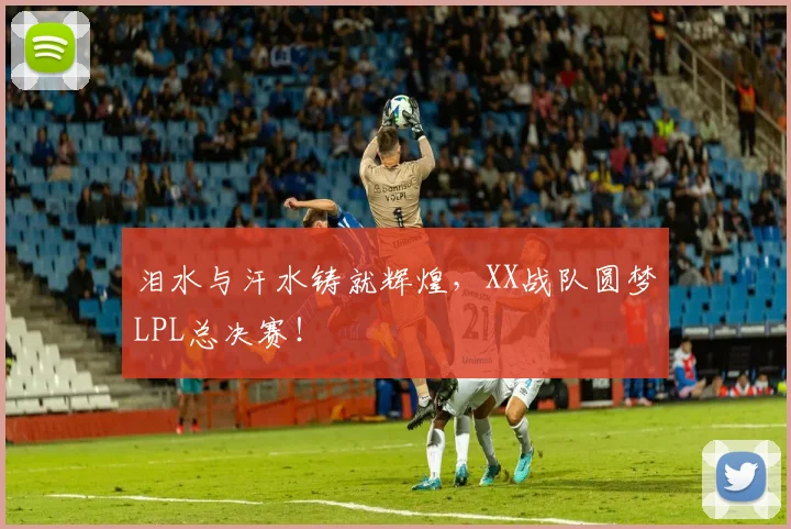 泪水与汗水铸就辉煌,XX战队圆梦LPL总决赛!