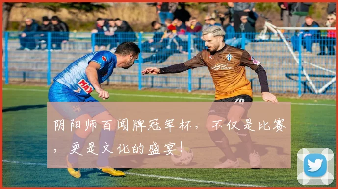 阴阳师百闻牌冠军杯，不仅是比赛，更是文化的盛宴！
