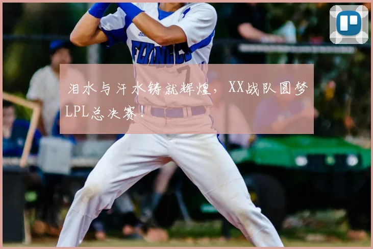 泪水与汗水铸就辉煌，XX战队圆梦LPL总决赛！