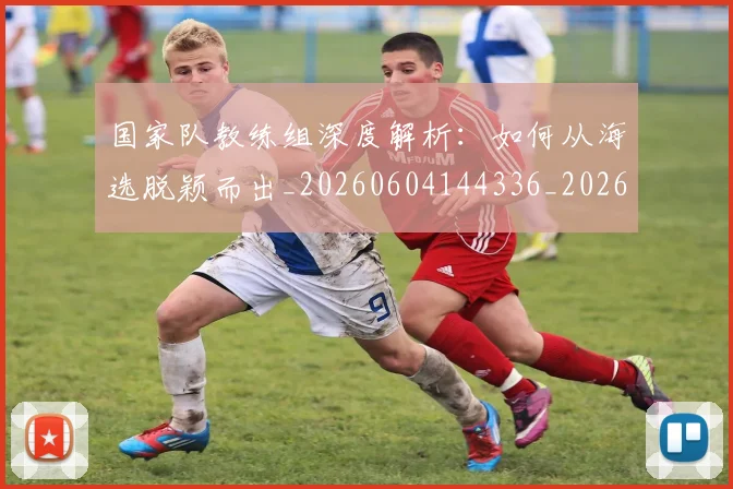 国家队教练组深度解析:如何从海选脱颖而出_20260604144336_20260707013501